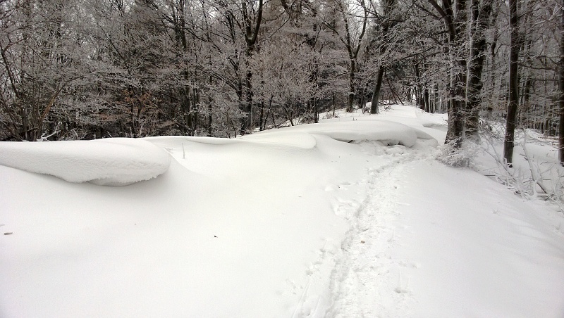 WP_20131208_002