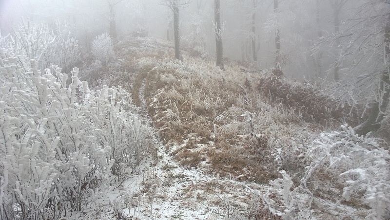 WP_20131217_002