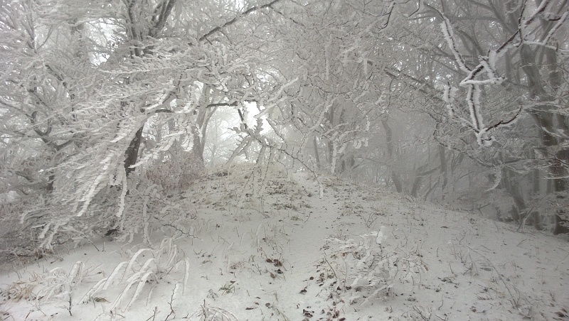 WP_20131217_005