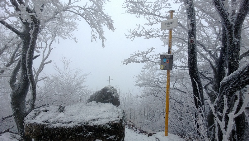 WP_20131217_007