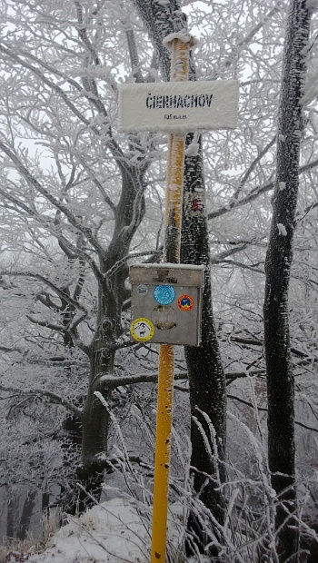 WP_20131217_008