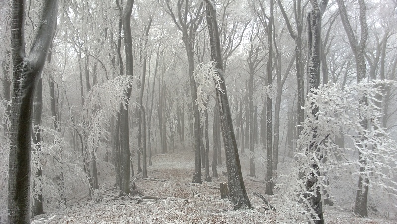 WP_20131217_009