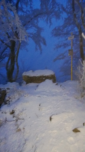 WP_20131219_002