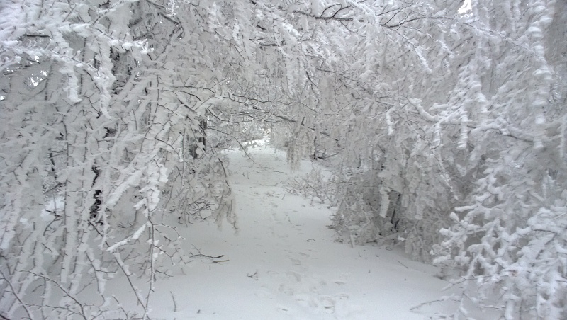 WP_20131220_004
