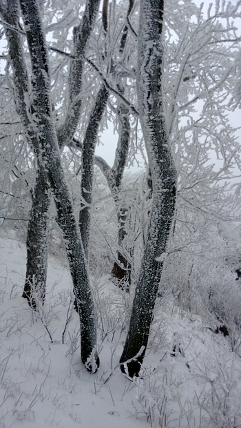 WP_20131220_007
