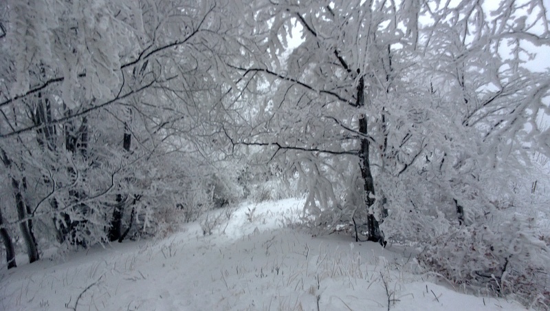 WP_20131220_009