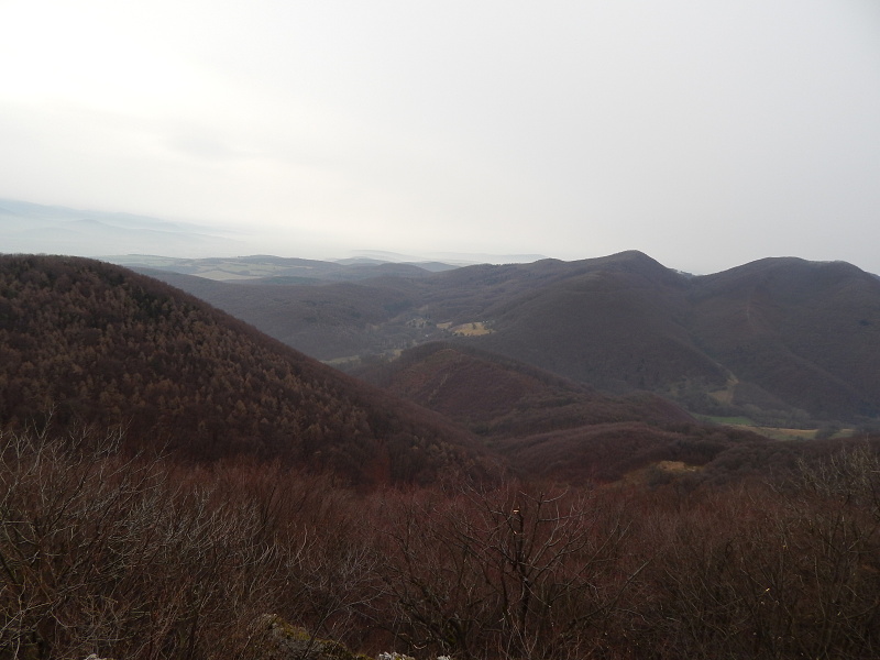 DSCN1428