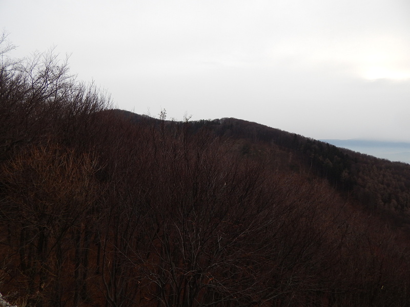 DSCN1430